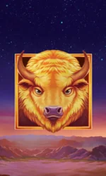 Buffalo's Sun 2