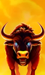 Big Wild Buffalo 2